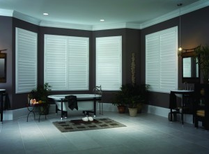 Bathroom Window Shutters Picture 1