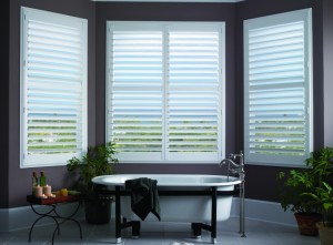 Bathroom Window Shutters Picture 2