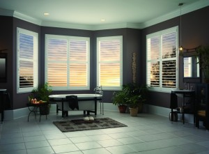 Bathroom Window Shutters Picture 3
