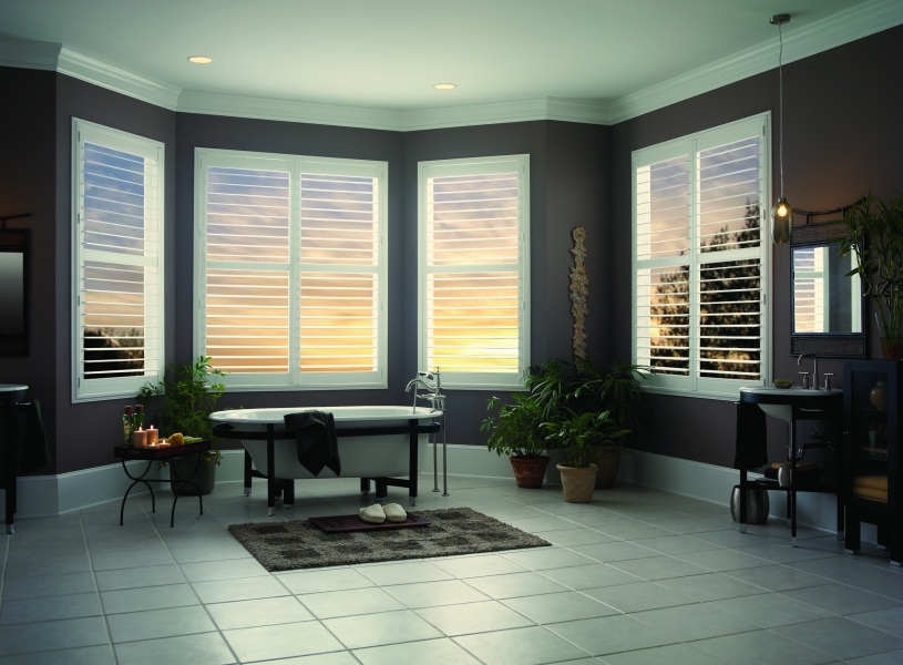 Bathroom Window Shutters Picture 3