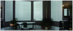 bathroom window shutters