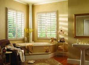 Bathroom Window Shutters Picture 5