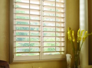 Bathroom Window Shutters Picture 6